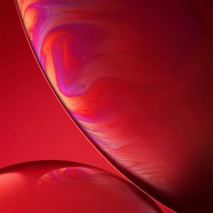 Meet your Posher, Jackson